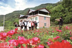 澳门威尼斯人网站我市将优先抓好乡镇政府所在地、城乡接合部、水源地、景区